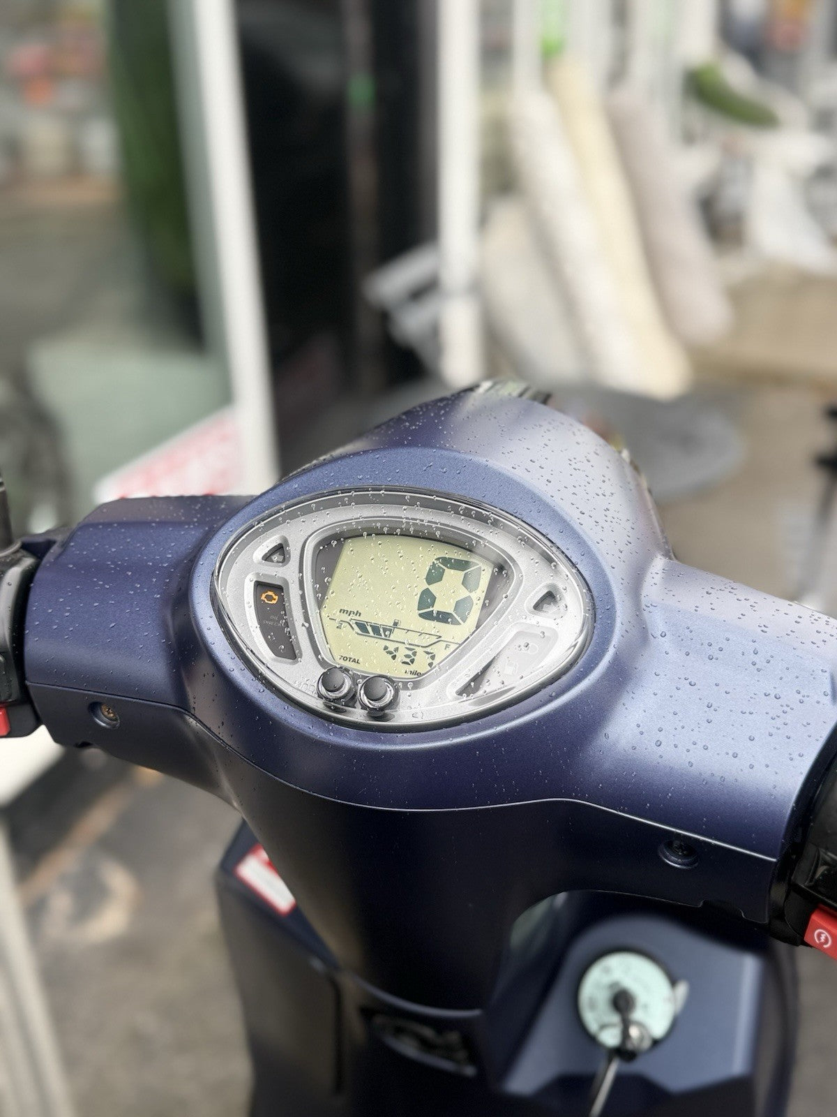 49913593