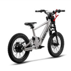 Amped A18 Comp Electric Bike