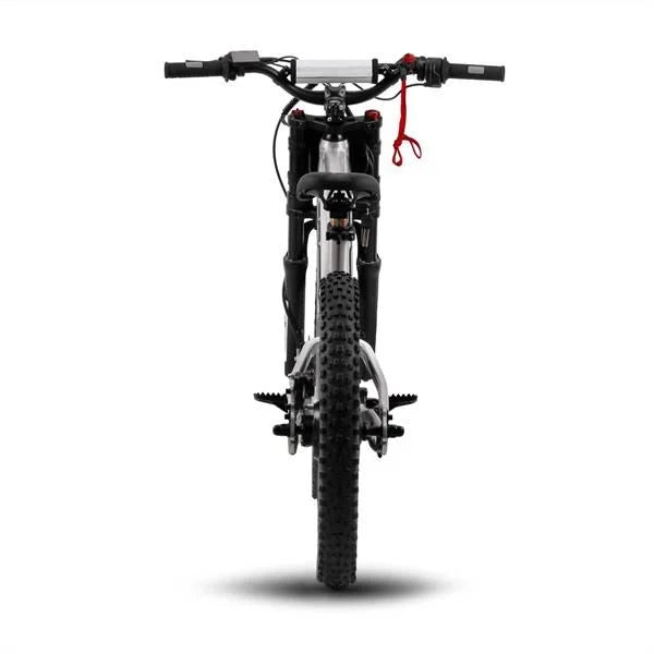 Amped A20 Comp Electric Bike