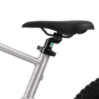 Amped A24 Comp Electric Bike